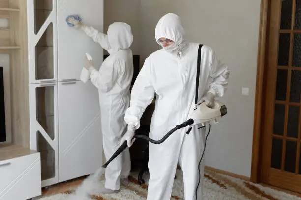 Désinfection / désinsectisation légère